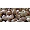 Processed Cashew Nuts, Raw Cashew Nuts