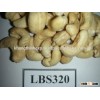 Dried Style Vietnam Cashew Nuts/ Cashew Kernels ww240/ ww320/ ws/ lp