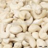 Cashew nut W320, W240, W450 ,W320