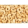 Almond Nuts, Apricot Kernels, Betel Nuts, Brazil Nuts, Canned Nuts, Cashew Nuts, Chestnuts