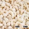 ROASTED /Raw Cashew Nut /Cashew Nuts/ Cashew Kernels ww240/ ww320/ ws/ lp hot sales