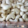 Cashew Nuts WW320