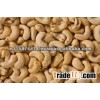Cashew Nut
