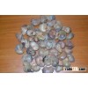 Row Cashew nut