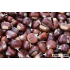 Organic chestnut