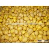 New crop fresh raw chestnuts from China low price for sale