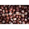 Good quality fresh chestnut/dried organic chestnuts for sale now in stock