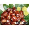 Quality Processed Dried Chestnuts for sale at very good prices
