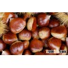 Organic Fresh and dried Chestnut