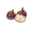 Processed and Unprocessed Chestnuts And Brazilnuts Shelled and Without Shells