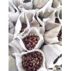 sweet chestnut sale price