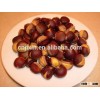 new fresh & dry chestnut with reasonable price