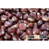 Fresh Orginic Chestnuts