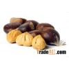 Chestnut