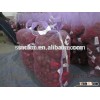 chestnut , fresh chestnut chinese chestnut pack in 10kg bag