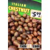 Hot Selling Fresh Chestnuts---Organic and Best Chestnuts