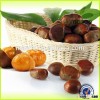 wholesale chinese 100% Natural green chesnuts Dandong origin China