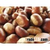 Raw and Roasted Chestnuts