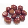 2015 New Crop Organic Fresh Chestnuts