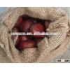 chestnut , fresh chestnut chinese chestnut 2015 crop