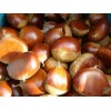 Organic Fresh and dried Chestnut