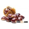 Chestnuts
