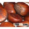 Chestnuts for sale