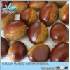 Raw Chestnuts,Fresh Chestnuts From Dandong, Chestnuts for Sale, Bulk Chestnus
