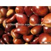 Bulk chestnuts