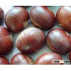 new season fresh chesnut(unshelled) for sale