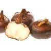 Chestnuts And Brazilnuts Shelled and Without Shells