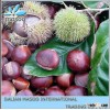 2015 Chestnuts,Fresh Chestnuts From Dandong, Frozen Chestnut, Chinese Chestnuts