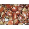 dandong chestnut dandong fresh chestnut dandong fresh chestnut