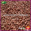 2015 Chinese Yanshan ASS Grade Fresh Chestnuts Wholesale