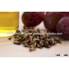 grape seed, grape seed extract powder