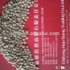 Green Lentils 2014 crop