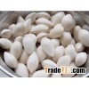 Best Quality Ginkgo Nuts