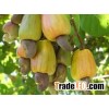 Good Bukina Faso raw cashew nuts