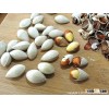 Ginkgo Nuts