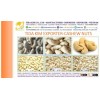 VIETNAM CASHEW NUTS W210 W240 W320 W450 TIDA KIM - BLACK WHITE PEPPER - ORGANIC COCONUT WATER DESICC
