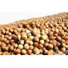 Best price Roast hazelnut
