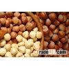 Hazelnut Nut Roasted Nut Shelled Nut Hazelnut Kernels