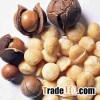 Hazel Nuts and Macadamia Nuts