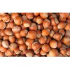 Natural Hazelnut