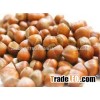 Hazelnut for sales 2015