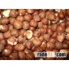 Raw hazelnuts