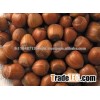 HAZEL NUTS