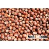 Hazelnuts
