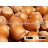 hazelnuts