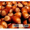 100% organic and natural Hazelnuts cheap price